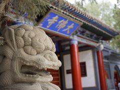 -张掖大佛寺景区