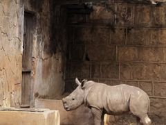 -昆明动物园
