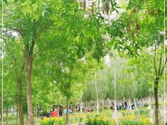 -东郊湿地公园