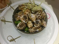-圆苑(上海广场店)