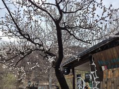 -北京水岸山吧度假村(雁栖镇店)