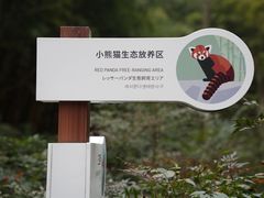 -熊猫谷