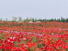 -嘉北郊野公园