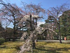 -京都御所