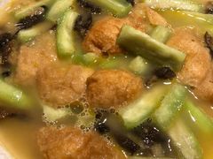 -素虎小呆鸟(西二旗店)