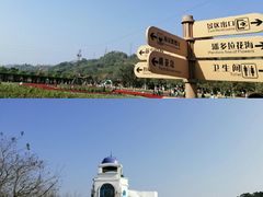 -丹樱生态园