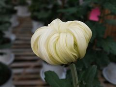 -共青国家森林公园-售票处