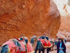 -天山神秘大峡谷