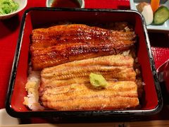 -料亭菊水楼