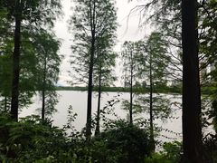 -飞来湖湿地公园