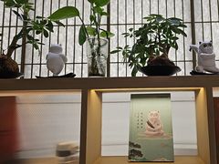 -长风拨筋养身(金虹桥店)