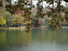 -紫霞湖公园