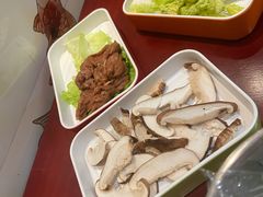 -火焰金龟甲(汉阳江滩旗舰店)