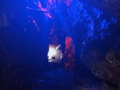 -梦幻奥陶纪景区