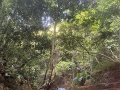 -古龙峡漂流
