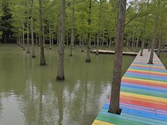 -泗洪洪泽湖湿地景区