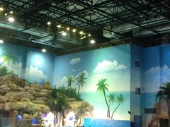 -华夏文旅海洋公园