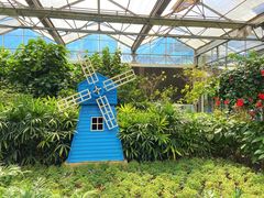 -南宫五洲植物乐园