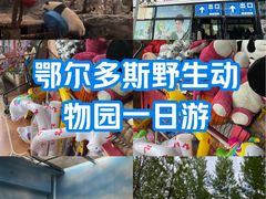 -鄂尔多斯野生动物园