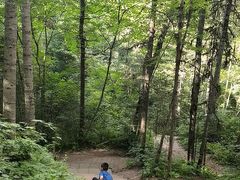 -五营红松林海景区