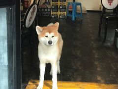 -虎虎龙虾•9年湖北匠(双井店)