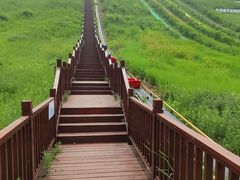 -南戴河国际娱乐中心