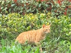 -宁波儿童公园(鄞州区)