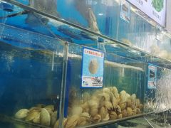 -龙湾海鲜渔村餐厅(亚龙湾店)