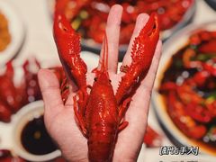 -杨氏青龙虾·羊蝎子(金盛路总店)