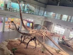 -自贡恐龙博物馆