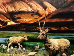 -中国湿地博物馆