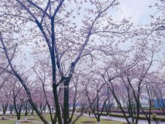-龙美术馆(西岸馆)