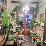 西湖最浪漫的花园西餐厅