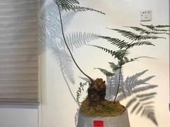-七色云蔬食(喜邻里店)