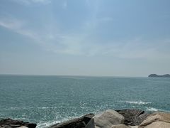 -广东惠东海龟国家级自然保护区