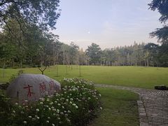 -上海滨江森林公园