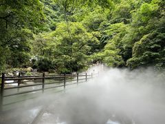 -西岭雪山大飞水景区