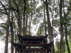 -青城山