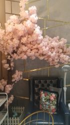 -安芮儿日式美甲美睫皮肤管理