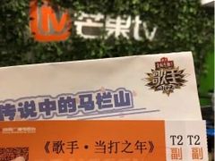 -湖南广电中心大楼