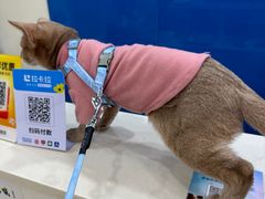 -全心全意连锁动物医院·微创中心·内科急重症·心脏专科(丰管路店)