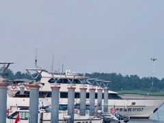 -巧克力渔家.小船海鲜胶东菜(万平口店)