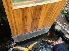 -上海大自然野生昆虫馆(东方明珠·爬宠昆虫探索中心)