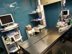 -爱诺耐芙动物医院(万博店)