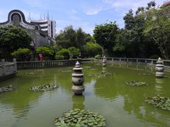 -碧江金楼