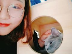 -猫咪咖啡·猫咖(万达广场店)