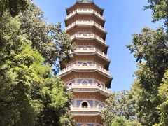 -灵谷景区