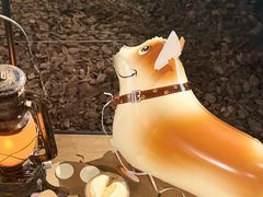 -J Create城市露营咖啡·简餐·宠物(上海动物园店)