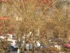 -张香食品(玉龙湾店)