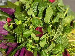 -慢丽江·云南野生菌土鸡锅(西山店)